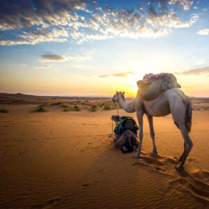 Marruecos | 9 días