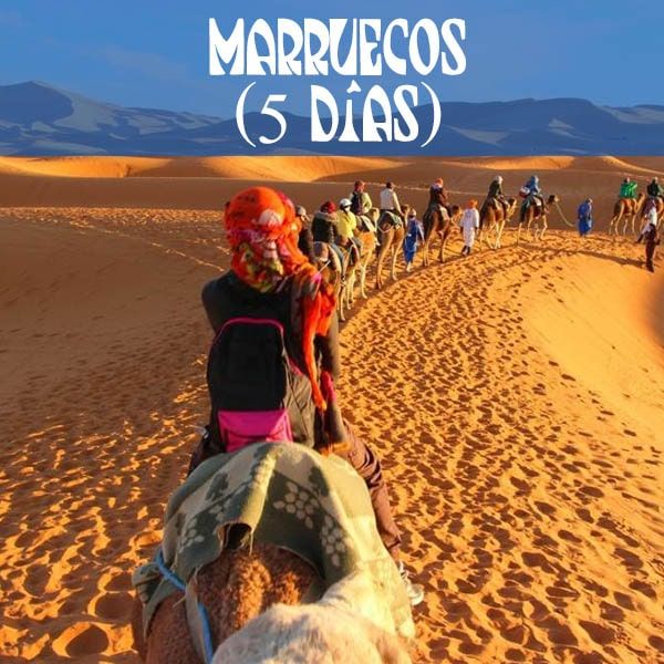 Trip to Morocco with camel ride