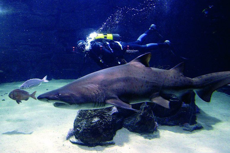 aquarium-de-la-coruna