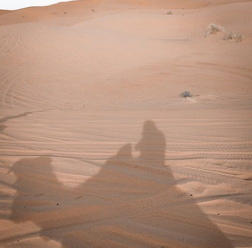 The Merzouga's desert in Morocco
