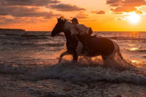 Turismo Ecuestre en Galicia