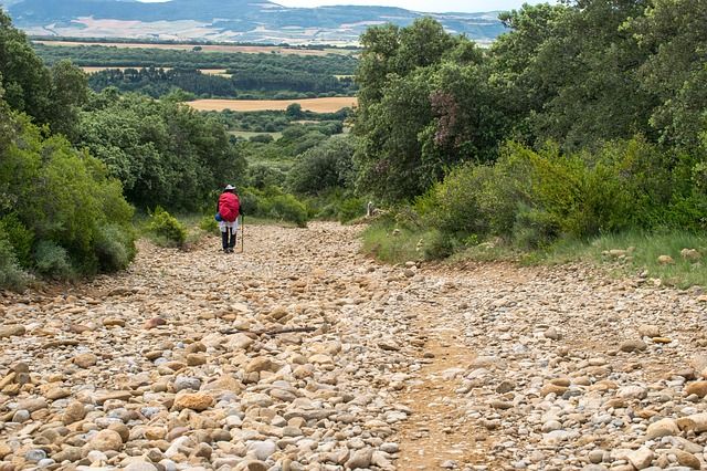 QUÉ HAY TANTOS CAMINOS DE SANTIAGO