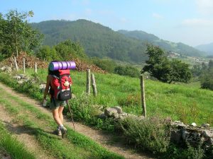 primitive way of santiago