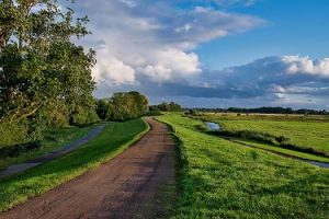 The North Way of St. James