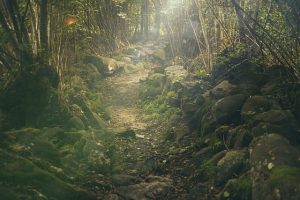 5 Hiking trails through the Ribeira Sacra