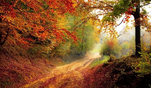 Camino Real de San Pedro de Rocas