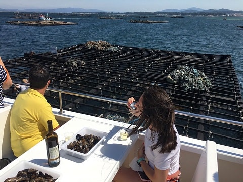 Rías baixas catamaran tour: what you should know
