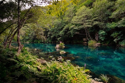 Natur und Geschichte von Fragas do Eume