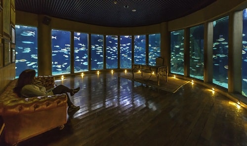 Visit the A Coruña aquarium
