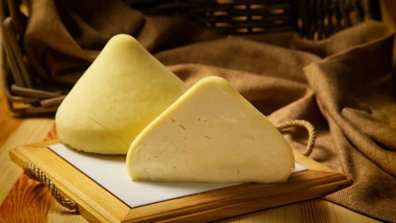 Der berühmte Tetilla-Käse