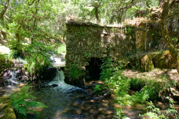 Rutas naturales por A Coruña