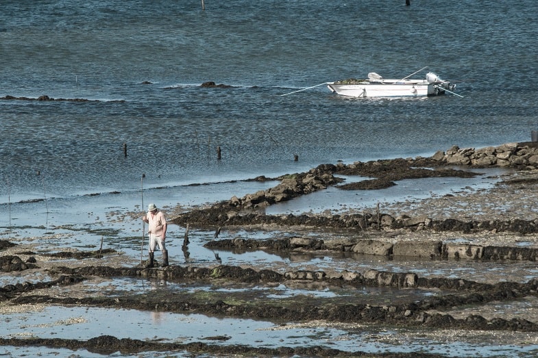 Plans in Galicia for this spring