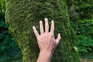 Routes of hiking in Santiago de Compostela