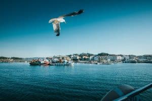 ALGUNAS EXCURSIONES EN PONTEVEDRA PARA HACER