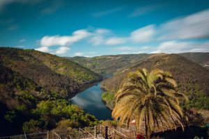Discover the Ribeira Sacra: a Journey to the Heart of Galicia