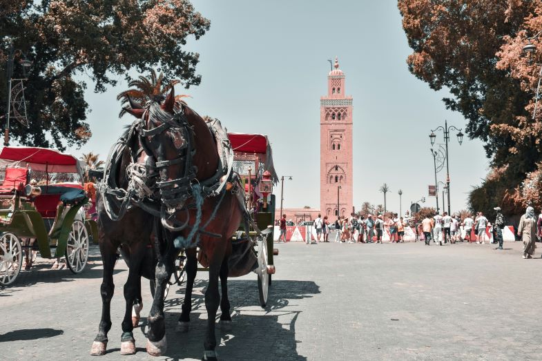 the tower in marrakech