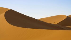Food in the Sahara Desert