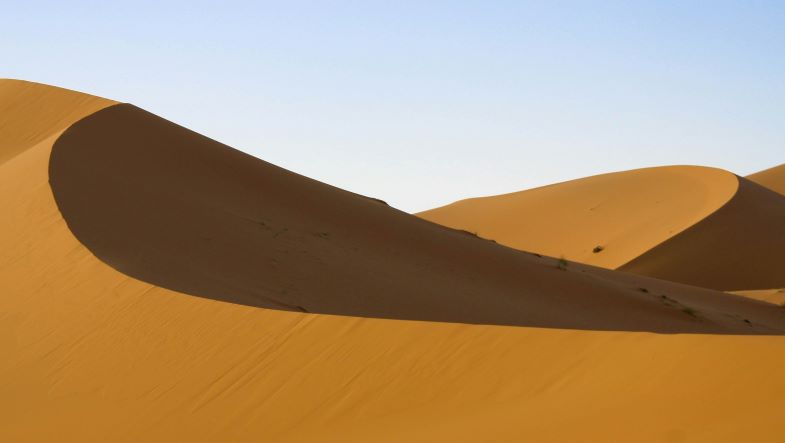 Food in the Sahara Desert