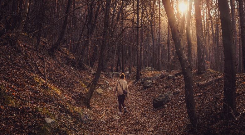 La serie The Walking Dead rodará en Galicia