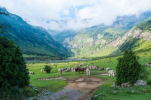 Most Spectacular Landscapes of the Camino